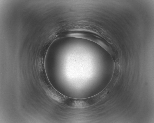 X0000080130605200612081232