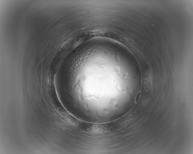 X0000080130608200612081232