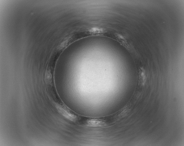 X0000080130614200612081232