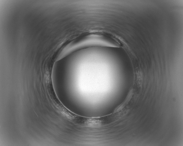 X0000080130617200612081232