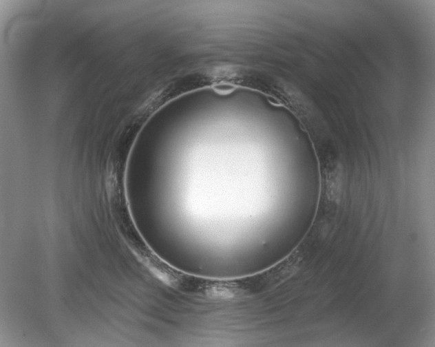 X0000080130618200612081232