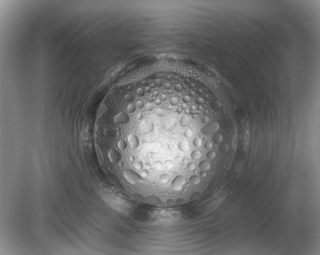 X0000080130619200612081232