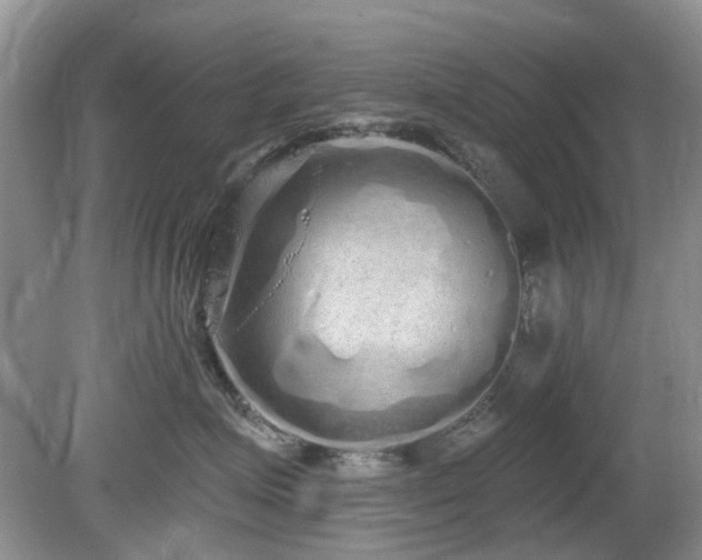 X0000080130623200612081231