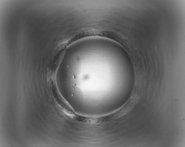 X0000080130624200612081231