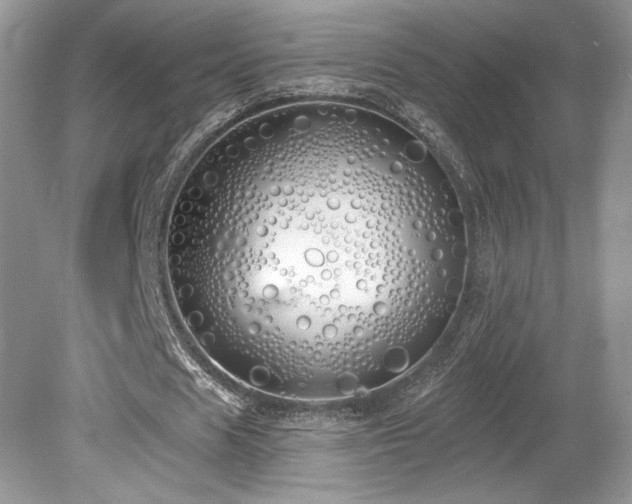 X0000080130625200612081231