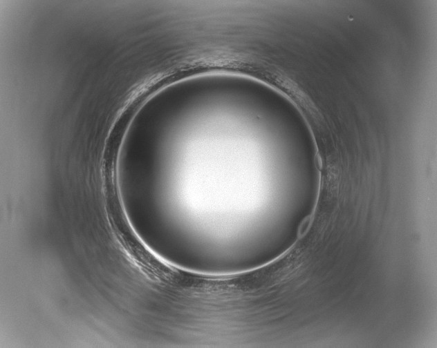 X0000080130626200612081231