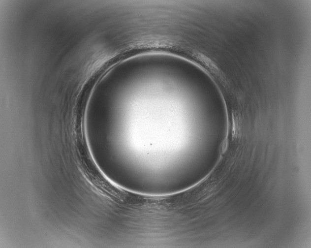 X0000080130627200612081231