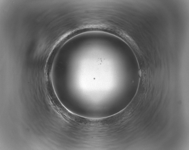 X0000080130628200612081231