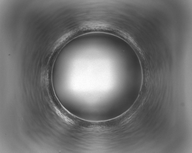 X0000080130629200612081231