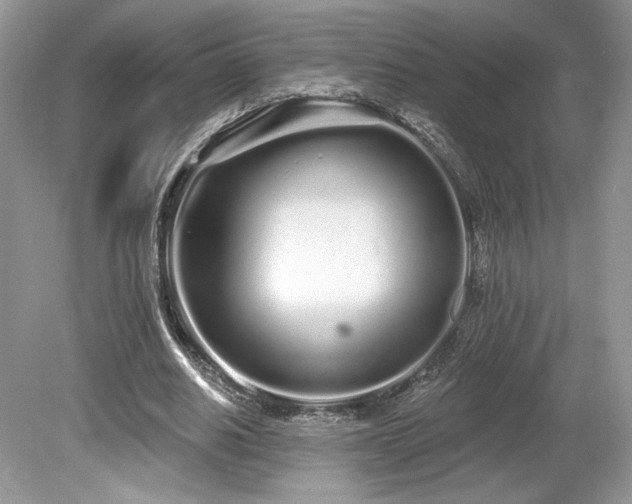 X0000080130630200612081231