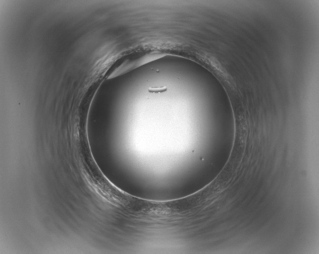 X0000080130631200612081231