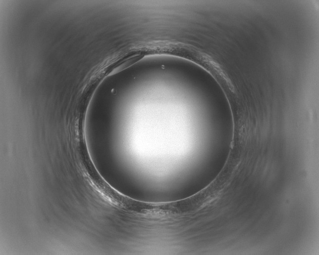 X0000080130633200612081231