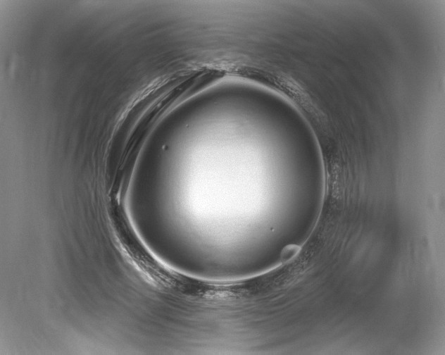 X0000080130634200612081231