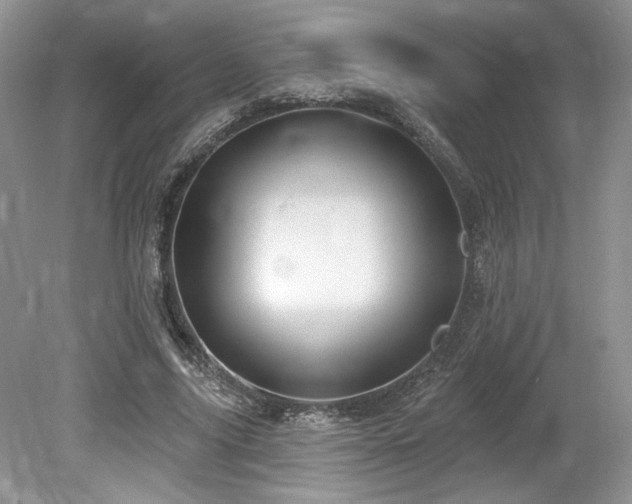 X0000080130635200612081231