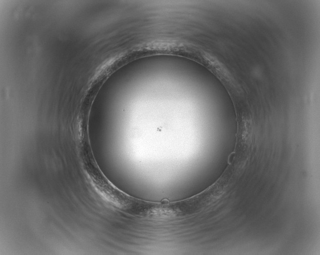 X0000080130636200612081231