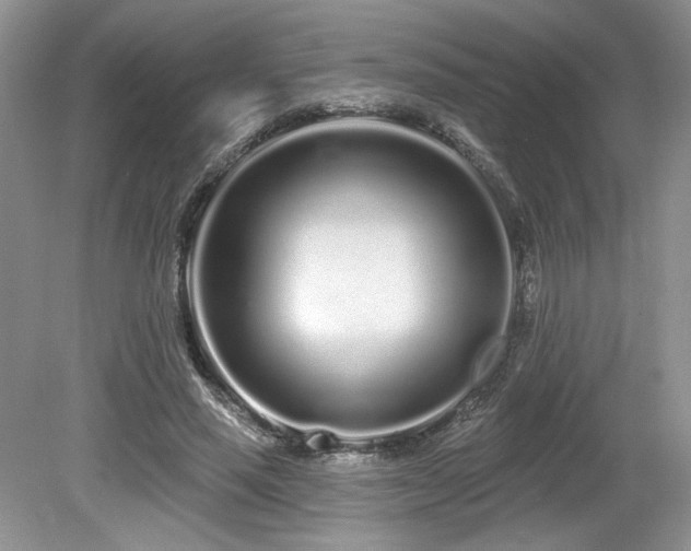 X0000080130637200612081231