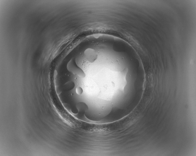 X0000080130638200612081231