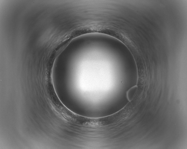 X0000080130639200612081231