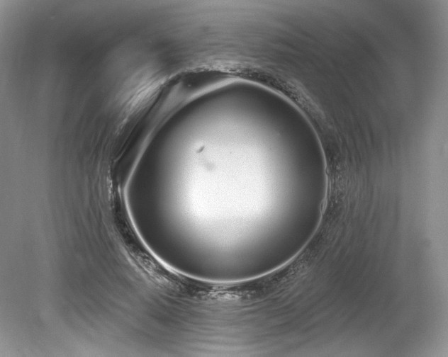 X0000080130640200612081231