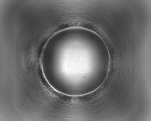 X0000080130641200612081231