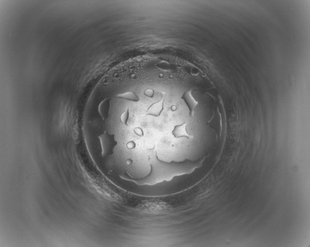 X0000080130642200612081231