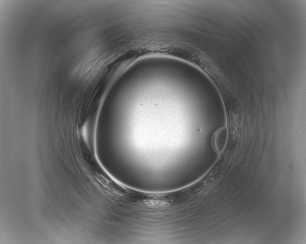 X0000080130644200612081231