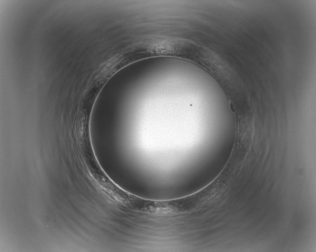 X0000080130645200612081231