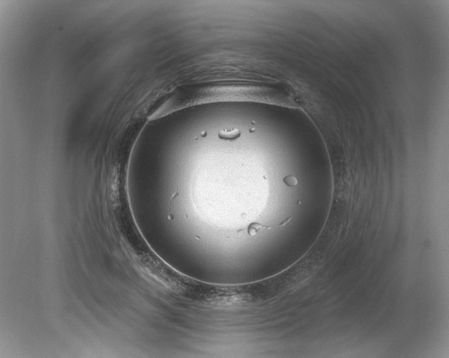 X0000080130646200612081231