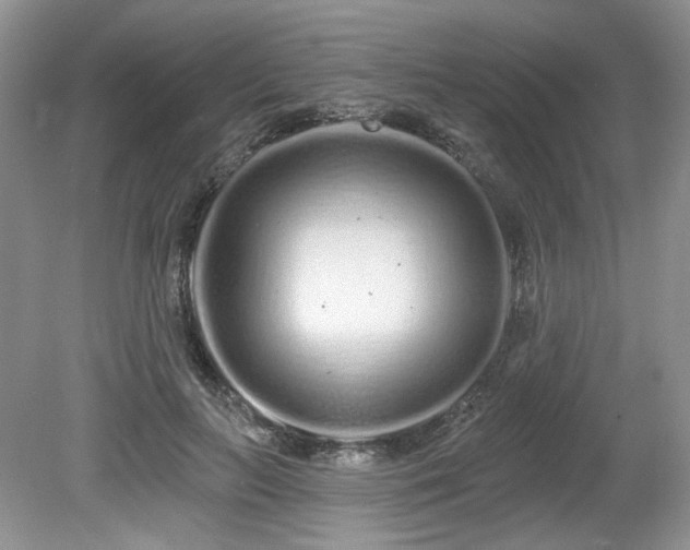 X0000080130647200612081231