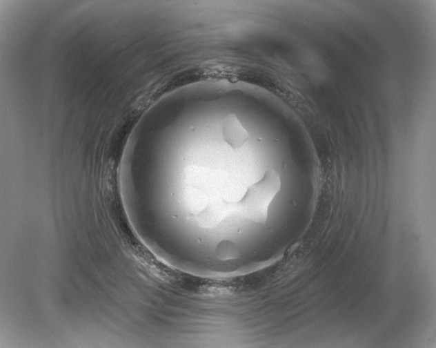 X0000080130649200612081231