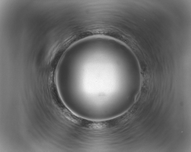 X0000080130652200612081231