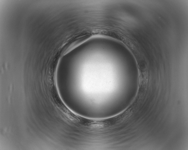 X0000080130653200612081231