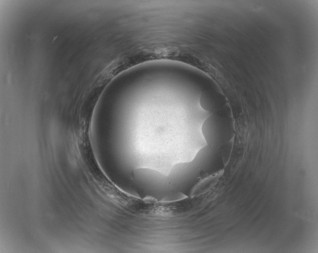 X0000080130656200612081231