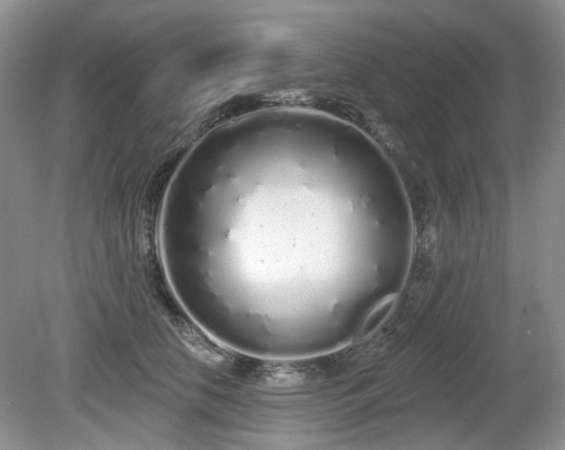 X0000080130658200612081231