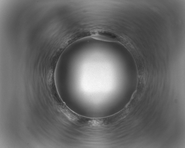 X0000080130660200612081231