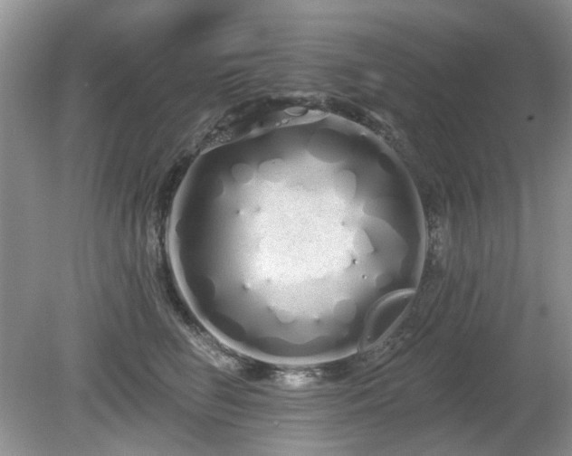 X0000080130662200612081231