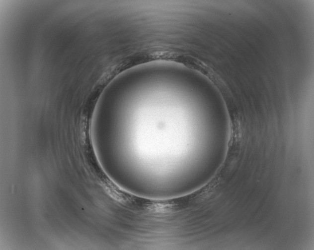 X0000080130664200612081231