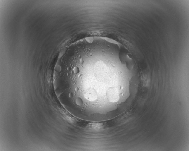 X0000080130665200612081231