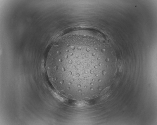 X0000080130670200612081231