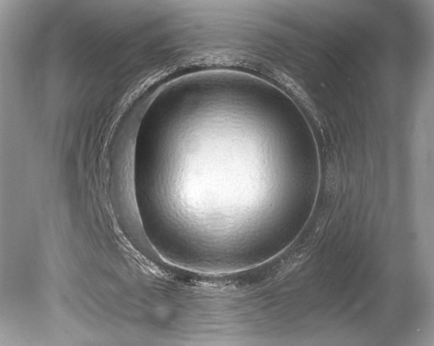 X0000080130673200612081231