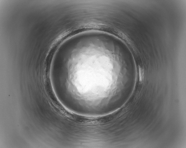 X0000080130675200612081231