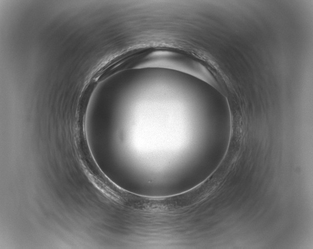 X0000080130677200612081231