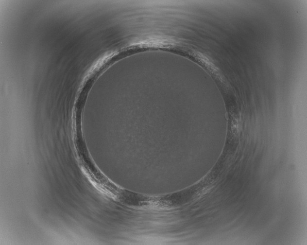 X0000080130678200612081231