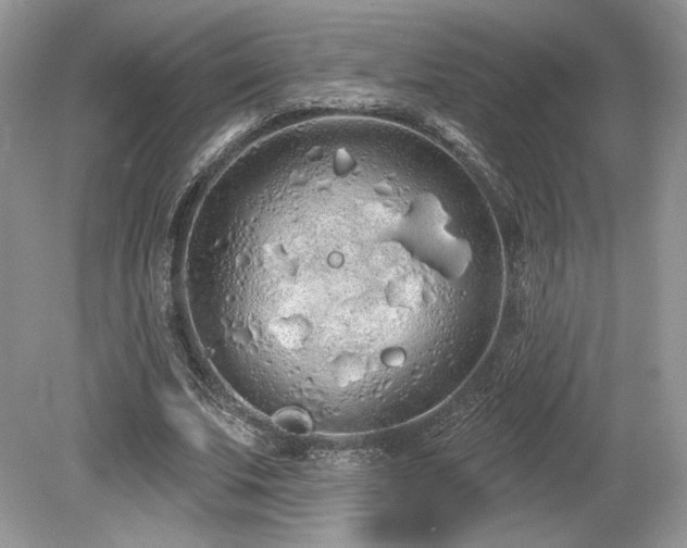 X0000080130679200612081231