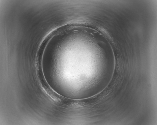 X0000080130680200612081231