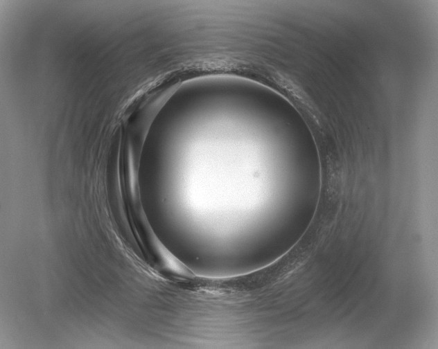 X0000080130681200612081231