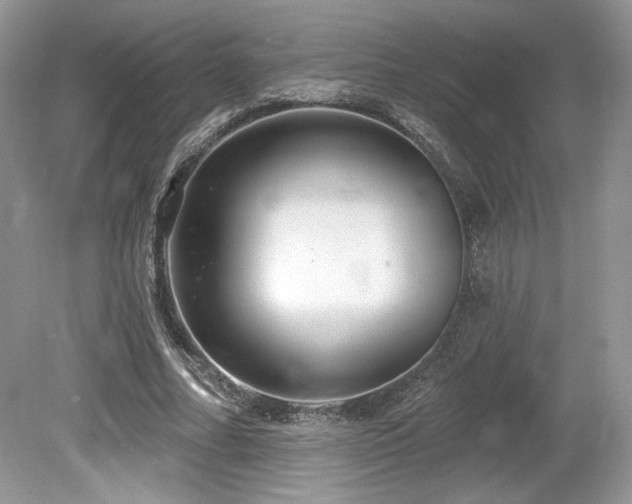 X0000080130682200612081231