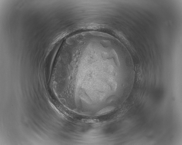 X0000080130683200612081230