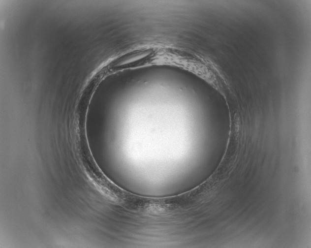 X0000080130684200612081230