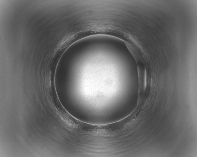 X0000080130685200612081230